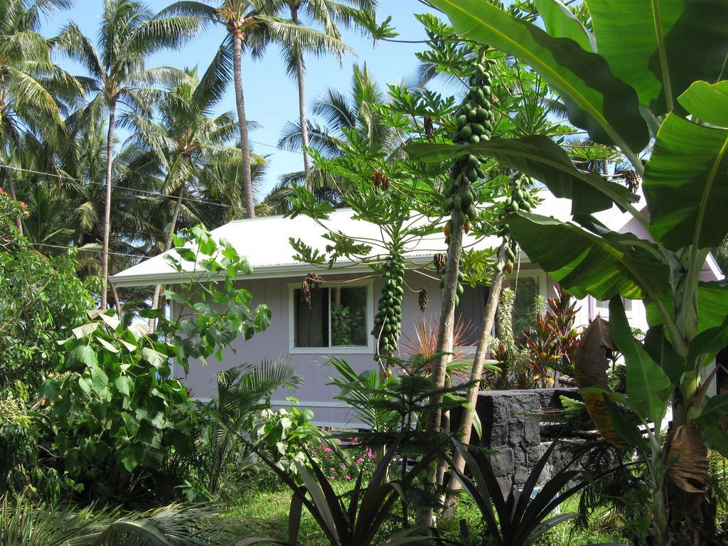 The Dolphin Cottage at Kehena Beach Exterior foto