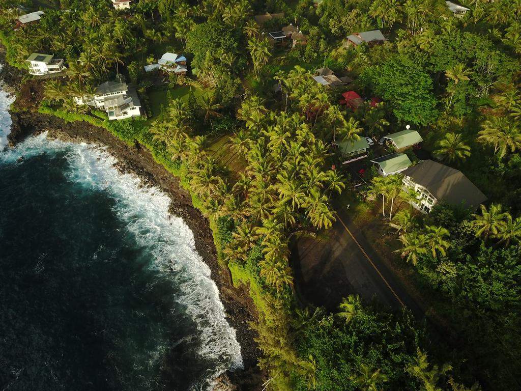 The Dolphin Cottage at Kehena Beach Exterior foto