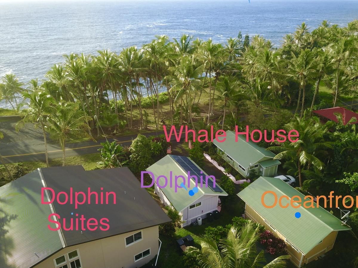 The Dolphin Cottage at Kehena Beach Exterior foto