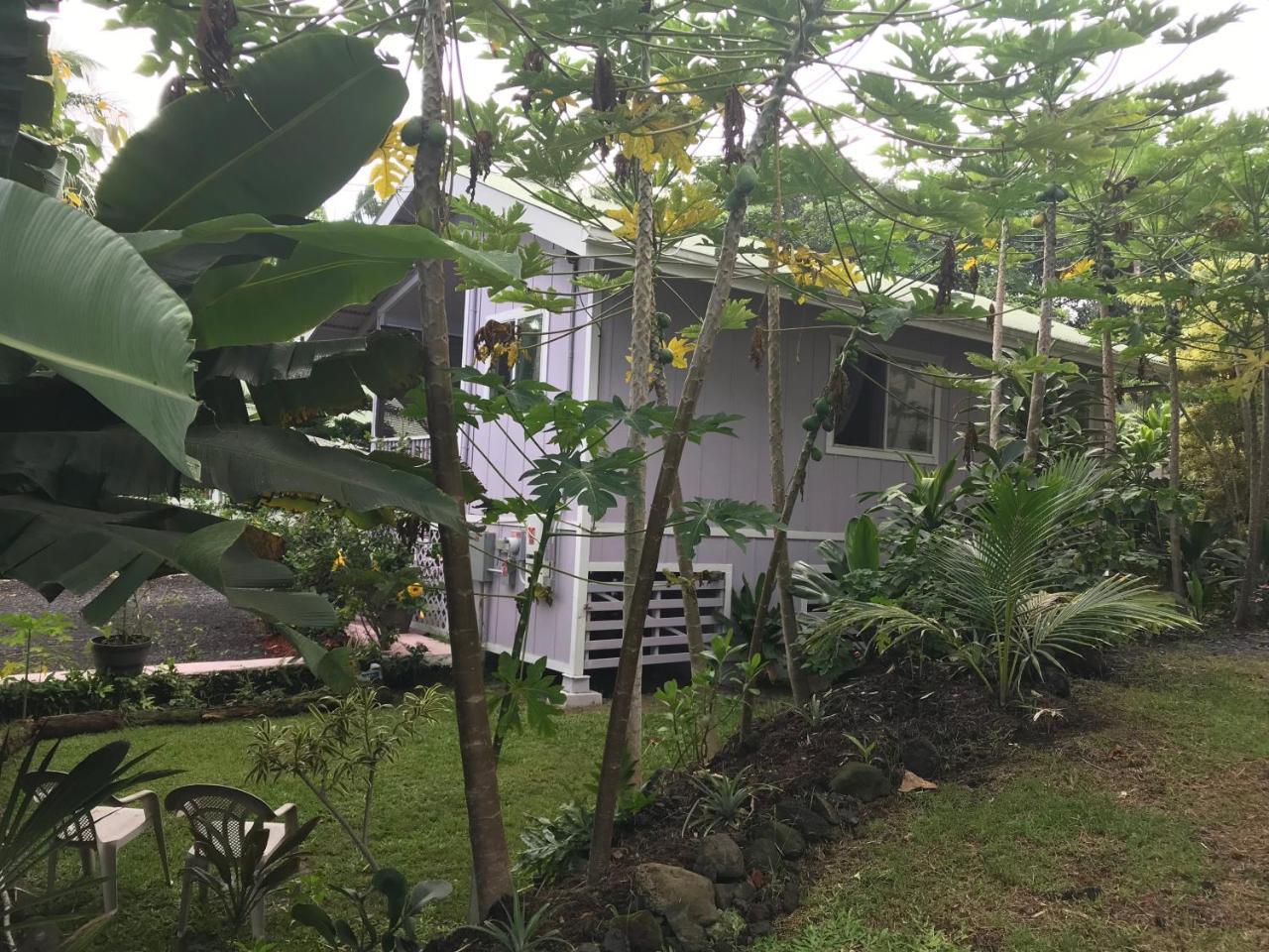 The Dolphin Cottage at Kehena Beach Exterior foto